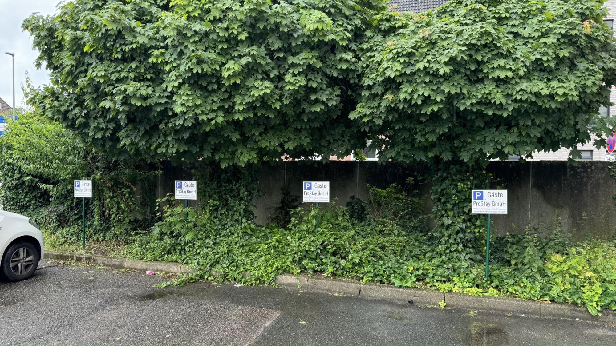 Apartments Im Herzen Von Neumuenster Innenstadt & Hbf Fusslaeufig, Mit Privatparkplatz Eksteriør billede